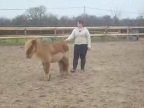 Travail a pied avec mon Grow