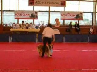 Obé rytmée wittes 15 02 ingrid 1