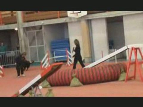 Créole concours Commentry