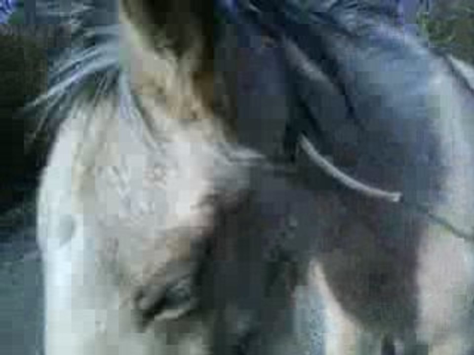 Thamarise