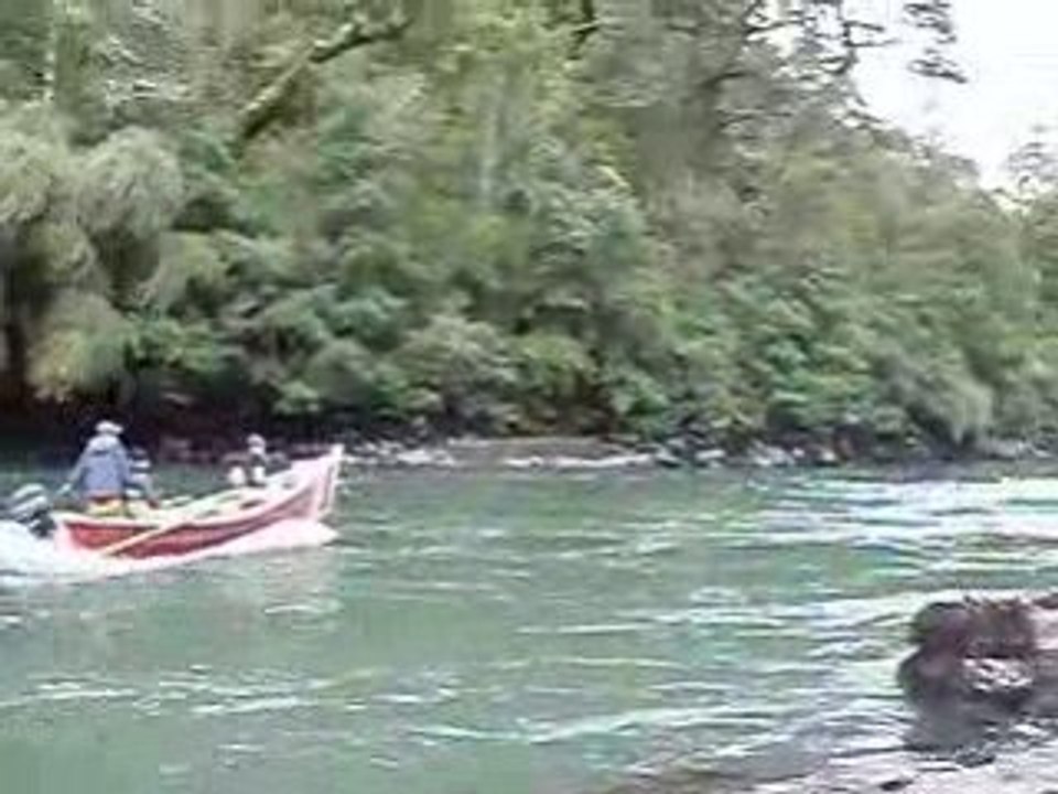 Pesca de Salmón