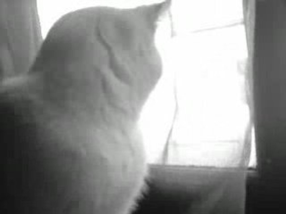 V190209_09.54
