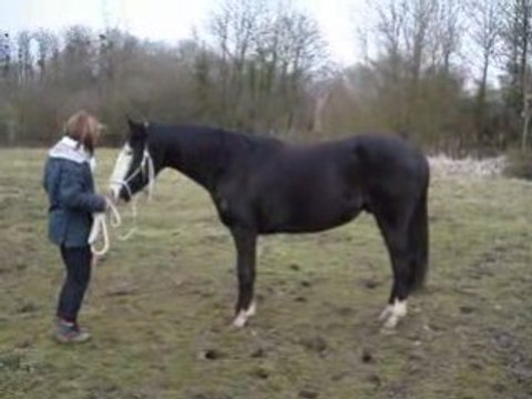 Tribal et ses débuts de pas espagnol 029