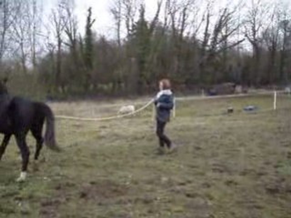 Tribal et ses débuts de pas espagnol 030