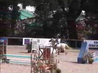 cso 2008 championnat bretagne