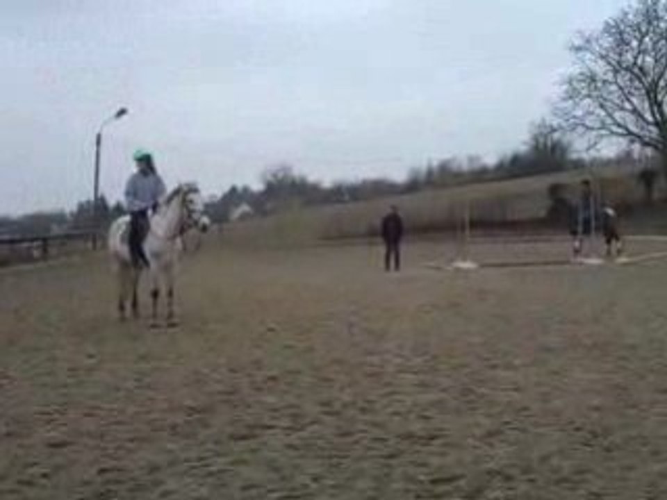 saut avk kango