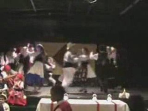 Cana Verde das Palmas