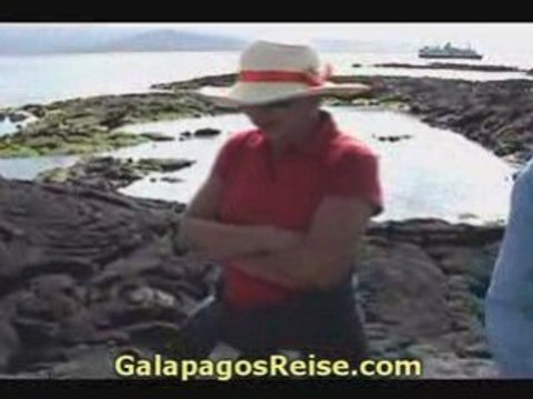 Galapagos Cruises Video Tourists