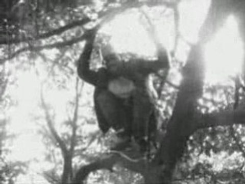 BIG PAPA - Wana Gangsta