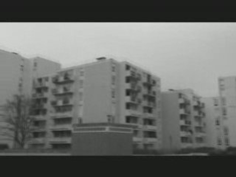 Neravif nos premiers pas