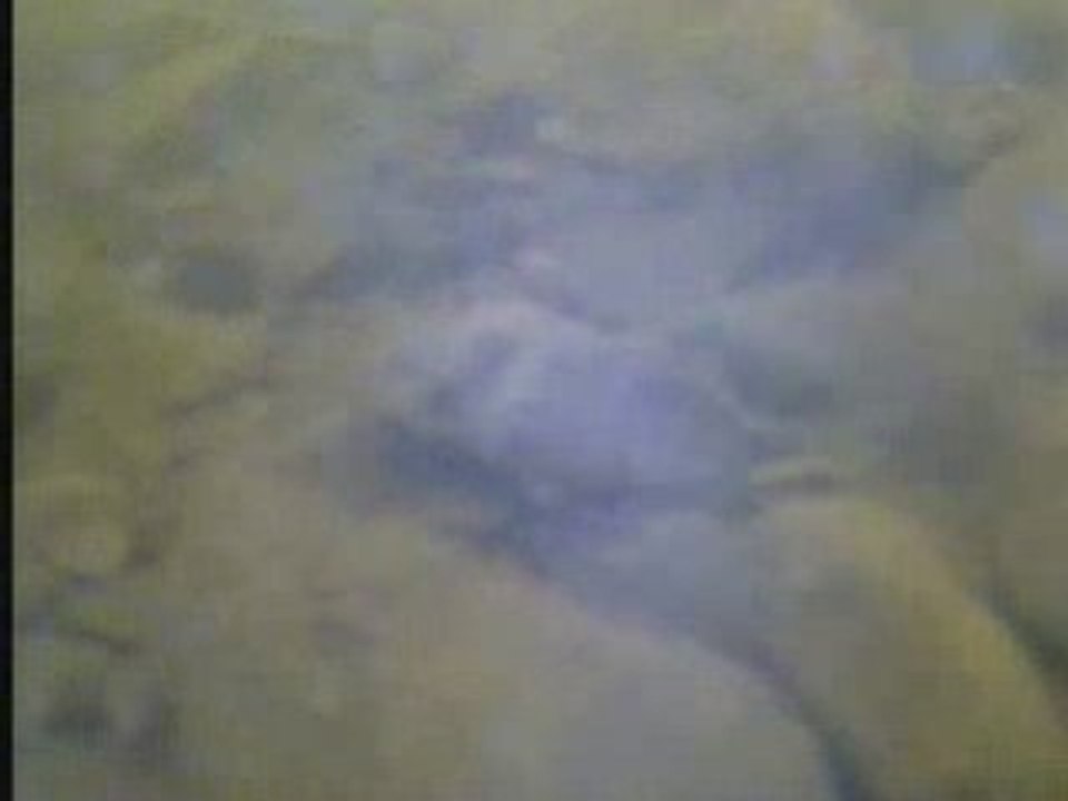 Les Fonds de la  Seine  EXCLU Forum Peche en Seine