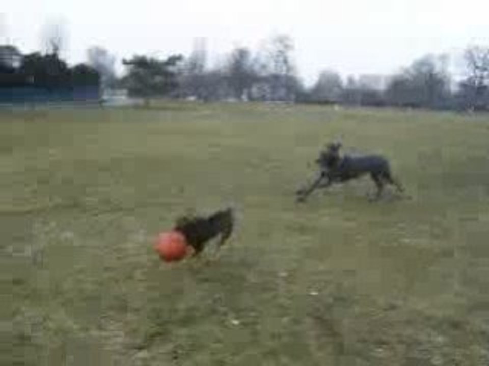 21/02/2009