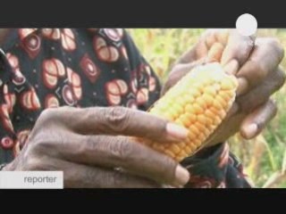 Le Cameroun face à la crise alimentaire