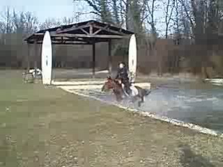 Jolie chute sur le gué