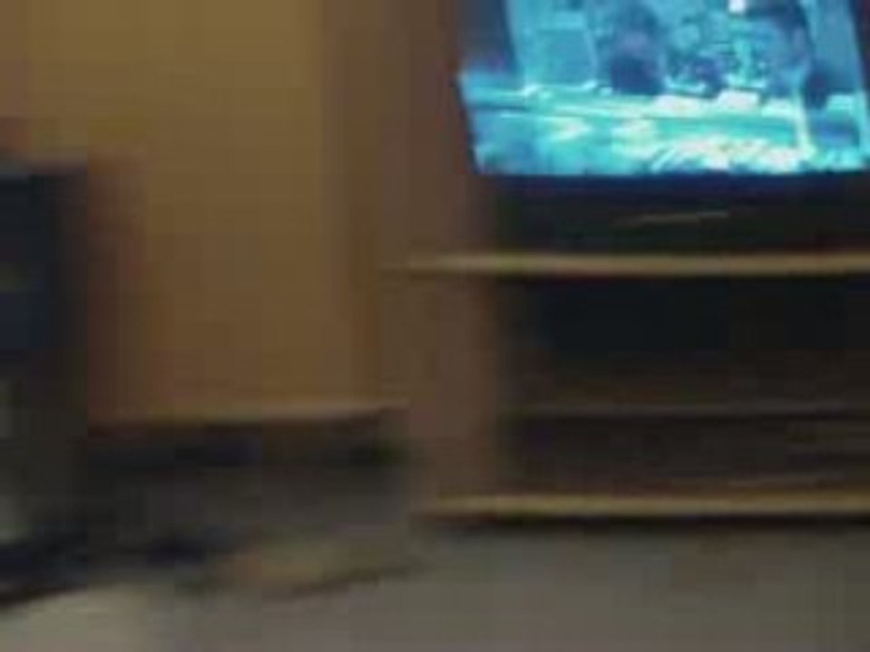 Nos chats Bengals oh oui la souris   _ Demone et Diablesse_