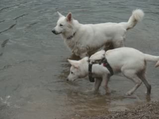 21.02.2009 balade au pourtales