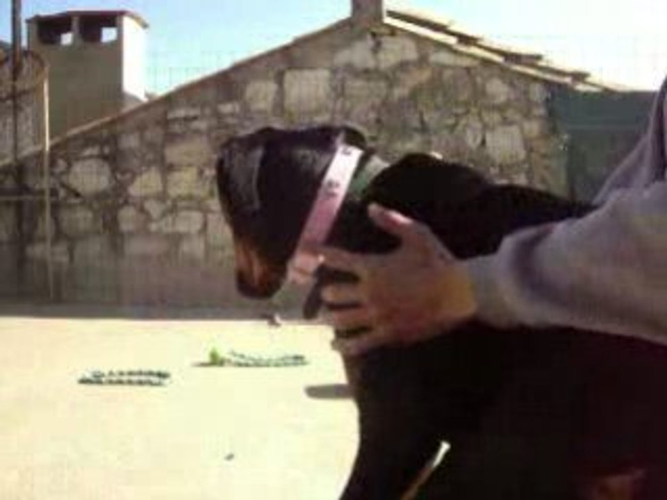 doby et moi