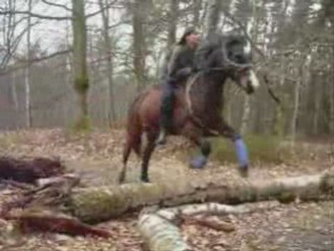 MOn amour de poneyy je l' aiime tellement ='$