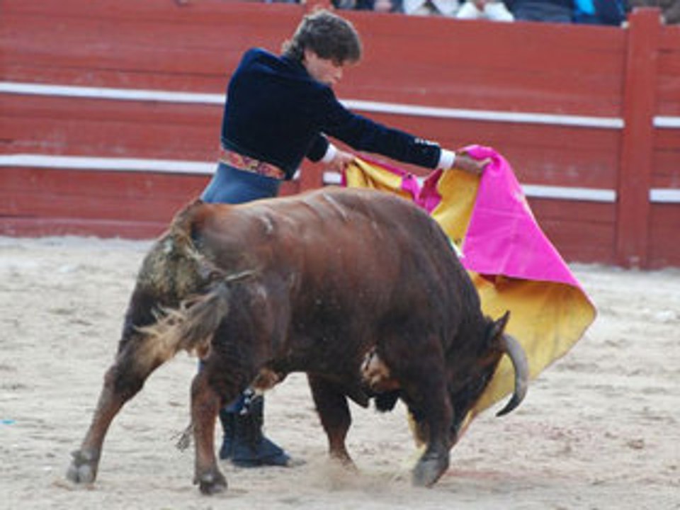 Ciudad Rodrigo, 21 Febrero