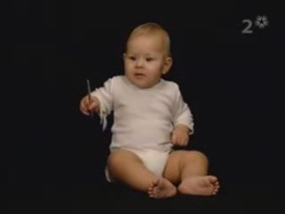 batteur professionnel