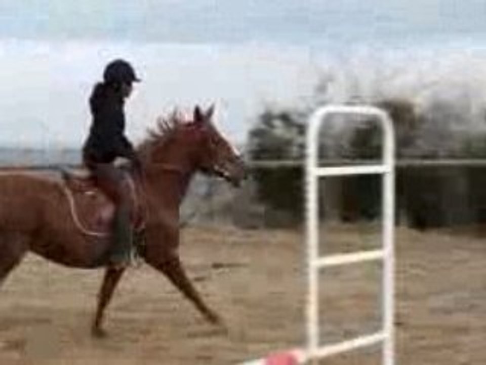 Nox&Nana Galop