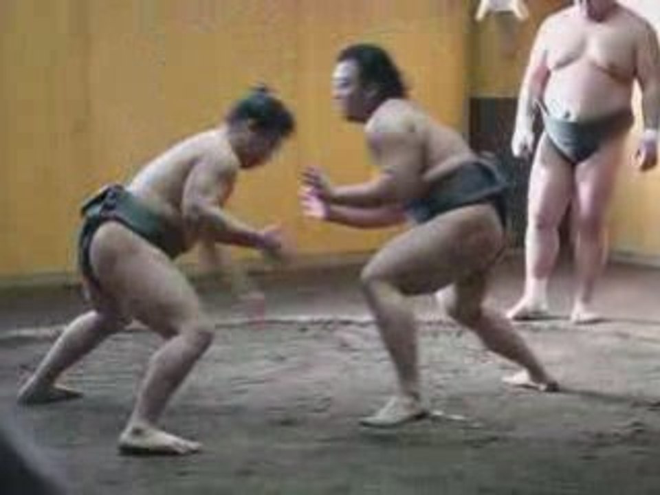 Sumo