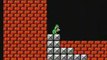 Frogsuit Mario Bros. Frog Frog Frog (End of Everything)