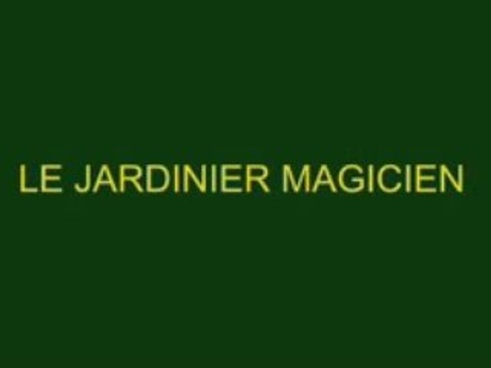 Légo - le jardinier magicien