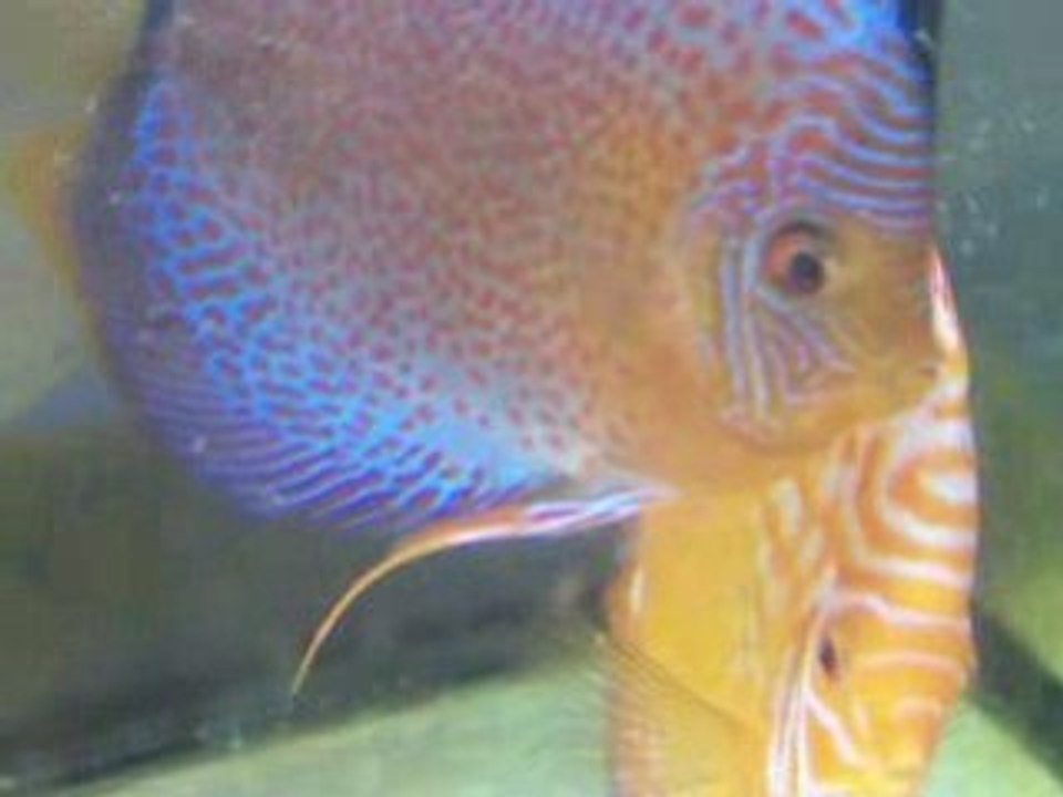 1er jour de nage libre le 22.02.09