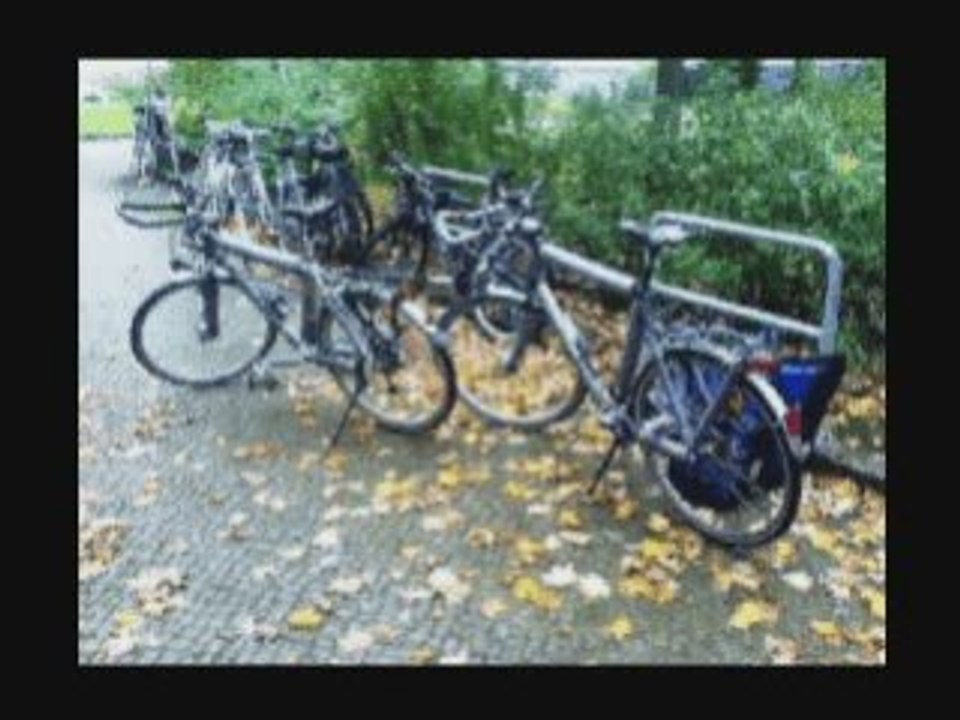 LUMINITA SOARE: "Les Bicyclettes De Belsize  francais