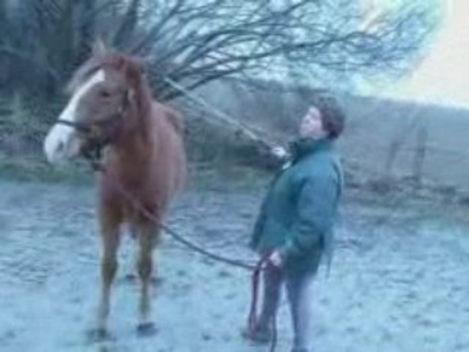 Thalya 9 ème séance étho partie 2