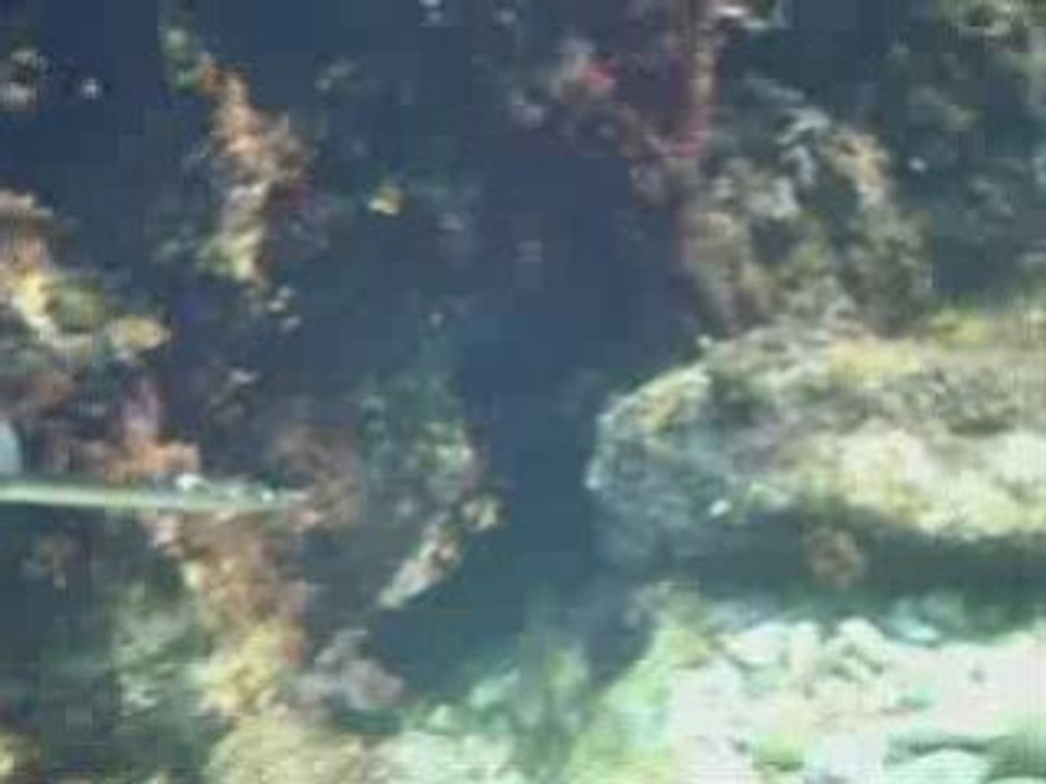 camera gopro mp5