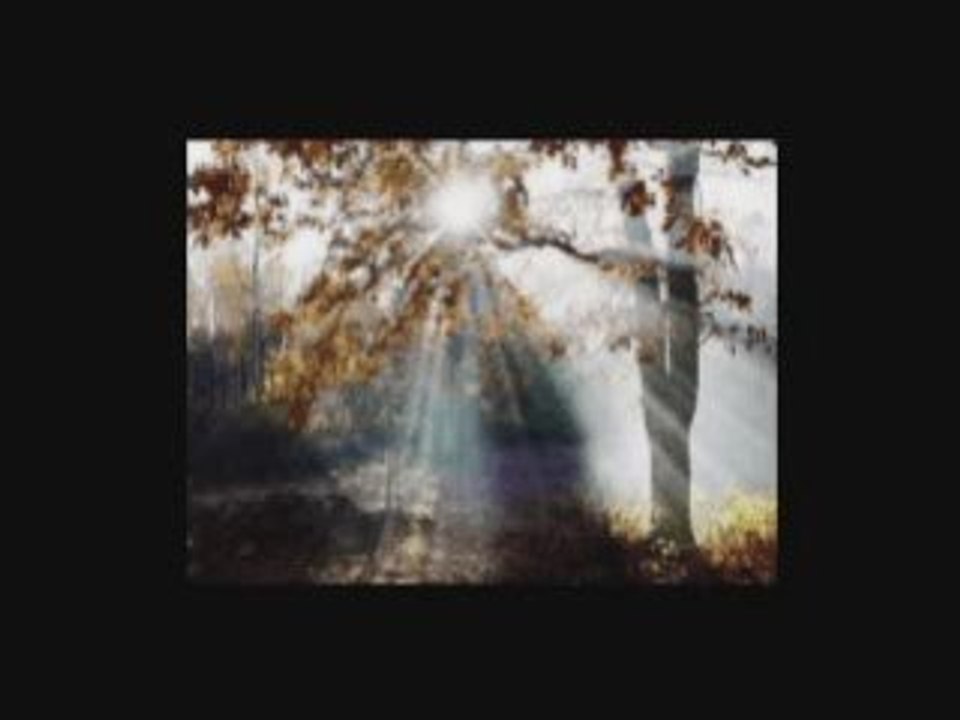 LUMINITA SOARE: JULY MORNING" Variante 2
