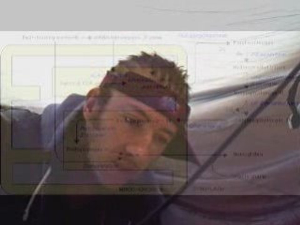 creature feature feat species cruzing