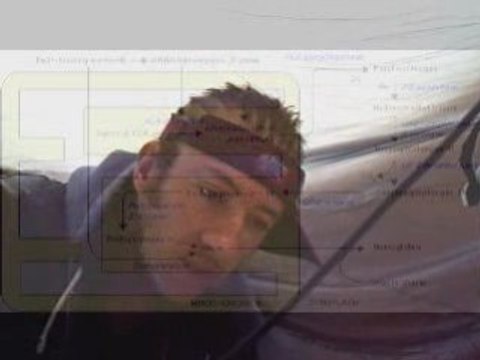 creature feature feat species cruzing