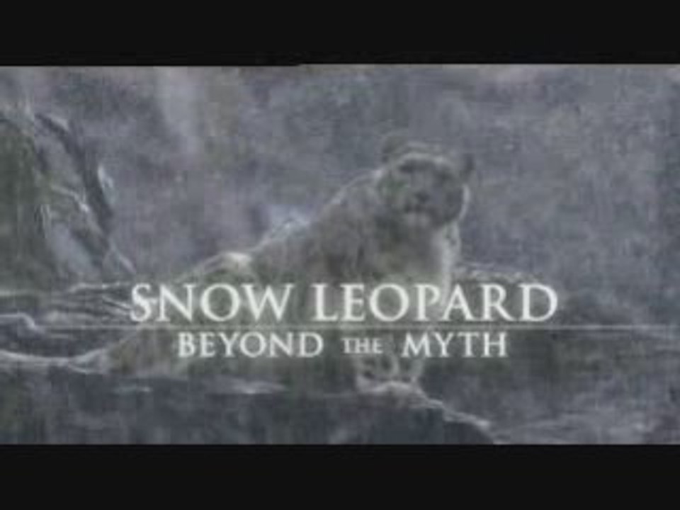 Snow léopard "Beyond the myth" ( Léopard des neiges)