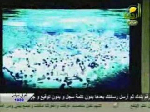 tres belle récitation du coran