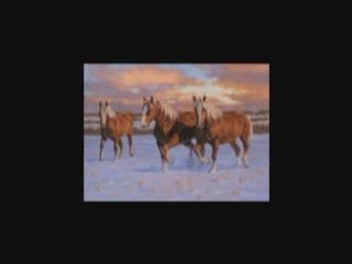 LUMINITA SOARE: "CUVANTUL"-DIDA DRAGAN (COVER)