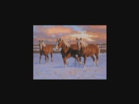 LUMINITA SOARE: CUVANTUL -DIDA DRAGAN (COVER)