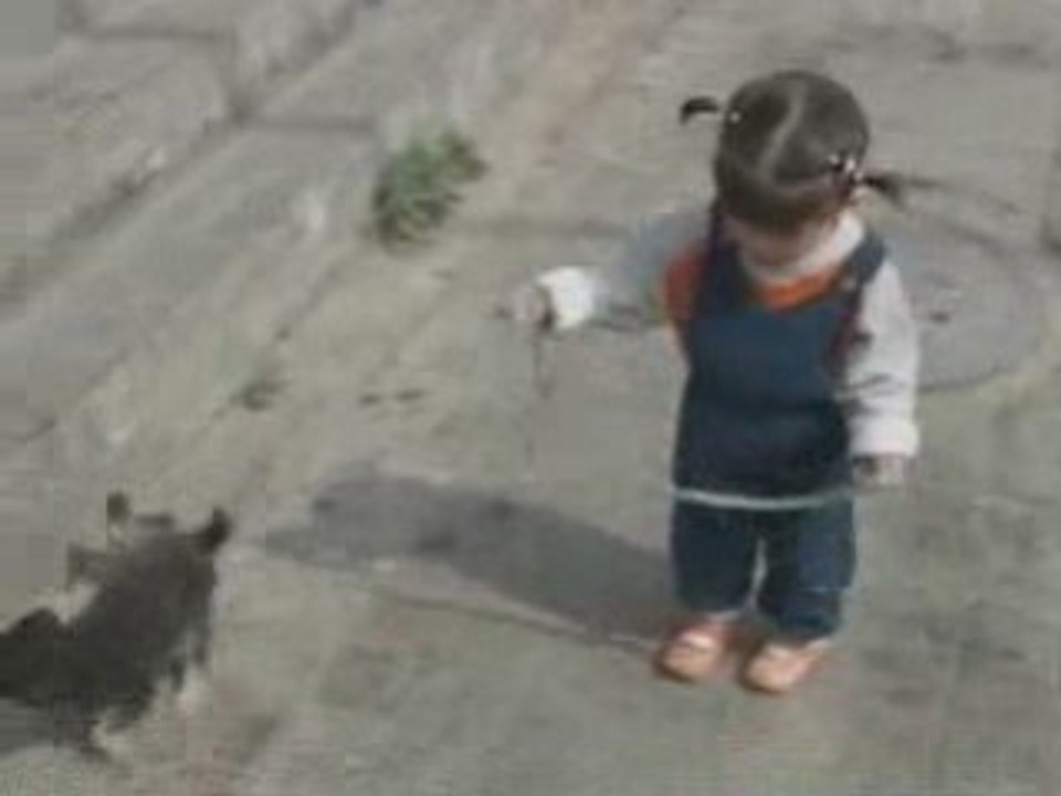 Un canard et un petit chien