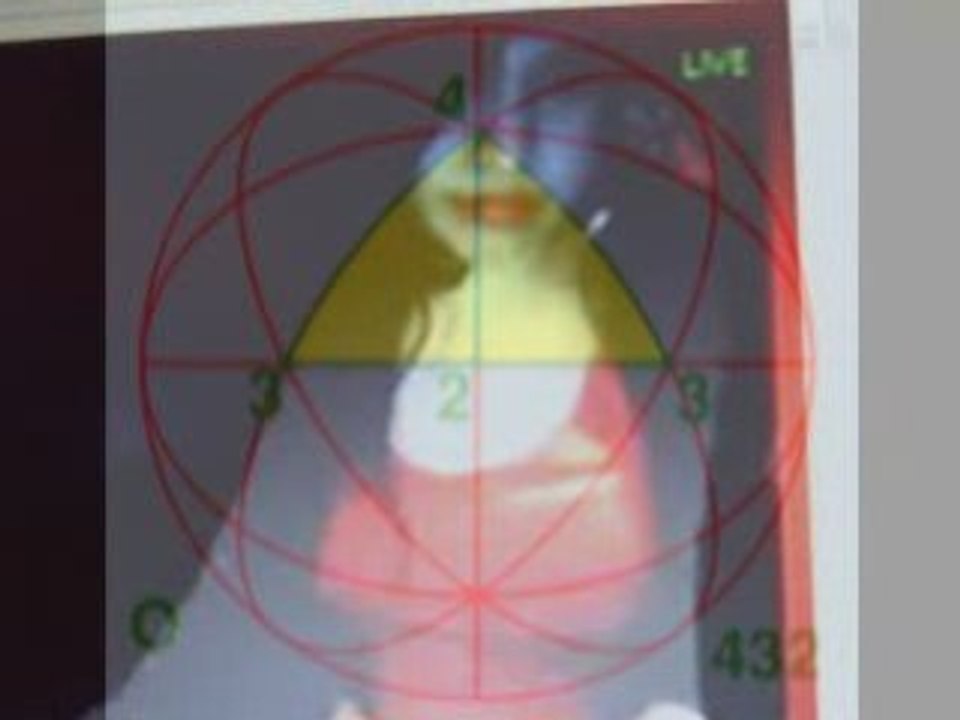 dazed feat species cruzing