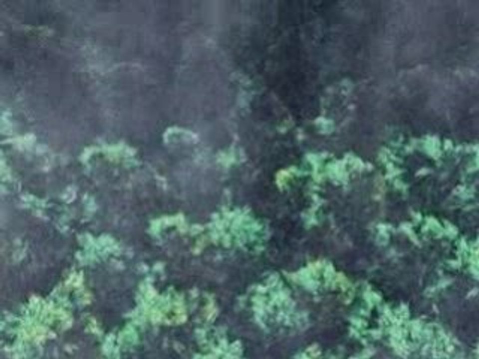 Disparition de la Brume