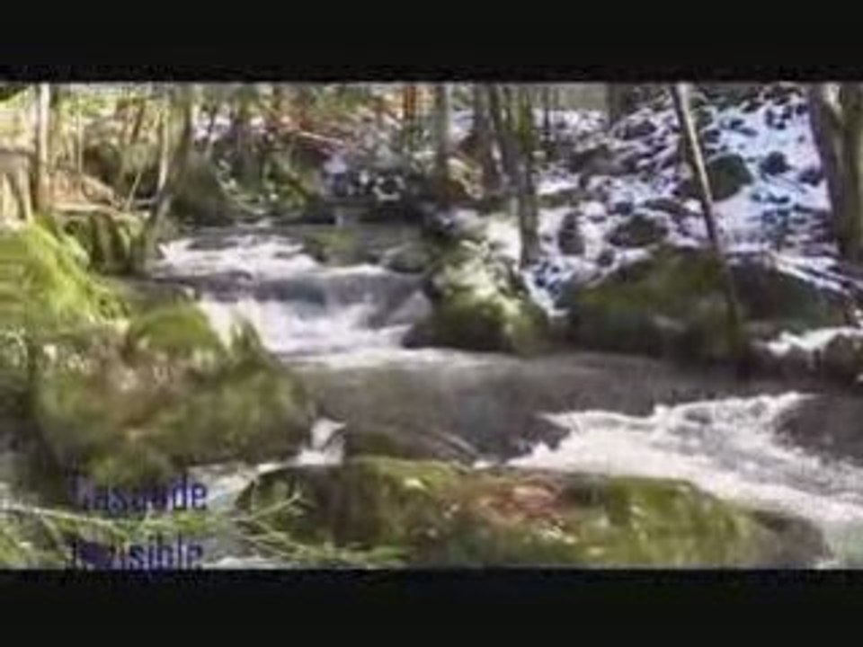 Montagnebourbonnaise