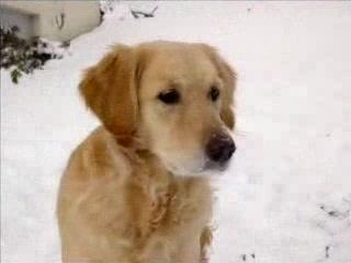 scintille et maiva hiver 2006