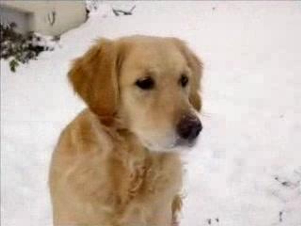 scintille et maiva hiver 2006