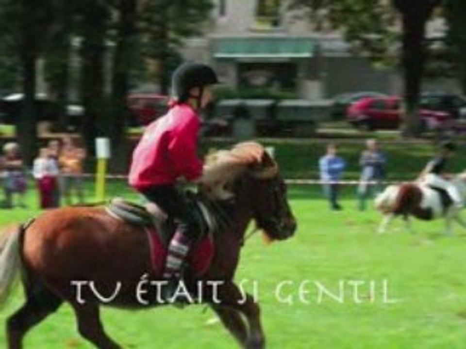 Un shet formidable : Klafoutis
