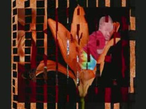 Striking Photography Studio Boulder / Longmont CO