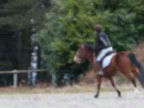 Moii &&² Jasmine A mOn galOp 5 =D