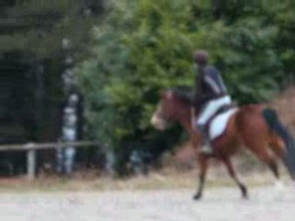 Moii &&² Jasmine A mOn galOp 5 =D