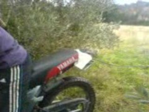 Voyage voyage voyage